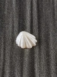 30513380_4