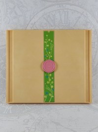30517990_wand_V1_a