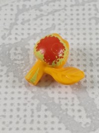 30625097
