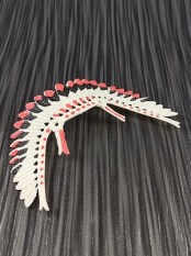 30630653_a