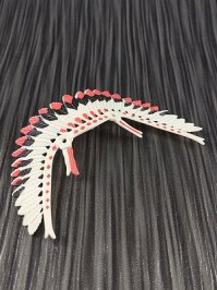 30630653_a