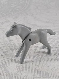 50003047_fg