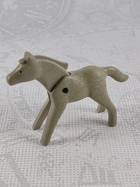 50003047_fgv